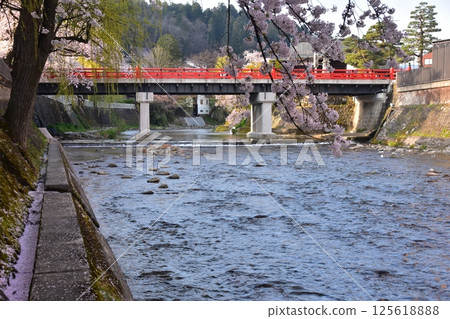 Spring in Takayama, Gifu Prefecture, Japan. Cherry blossoms in full bloom and the tourist attraction Nakabashi Bridge. Cherry blossom petals piled up on the bank along the Miyagawa River. Spring in Takayama, Gifu Prefecture, Japan. Cherry blossoms in full bloom and the tourist attraction Nakabashi Bridge. Cherry blossom petals piled up on the bank along the Miyagawa River. 125618888