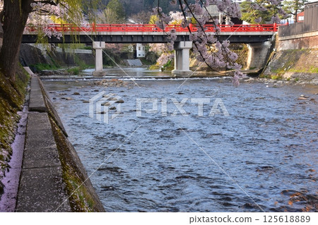 Spring in Takayama, Gifu Prefecture, Japan. Cherry blossoms in full bloom and the tourist attraction Nakabashi Bridge. Cherry blossom petals piled up on the bank along the Miyagawa River. Spring in Takayama, Gifu Prefecture, Japan. Cherry blossoms in full bloom and the tourist attraction Nakabashi Bridge. Cherry blossom petals piled up on the bank along the Miyagawa River. 125618889