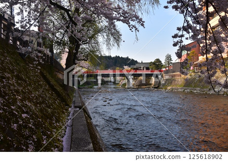 Spring in Takayama, Gifu Prefecture, Japan. Cherry blossoms in full bloom and the tourist attraction Nakabashi Bridge. Cherry blossom petals piled up on the bank along the Miyagawa River. Spring in Takayama, Gifu Prefecture, Japan. Cherry blossoms in full bloom and the tourist attraction Nakabashi Bridge. Cherry blossom petals piled up on the bank along the Miyagawa River. 125618902