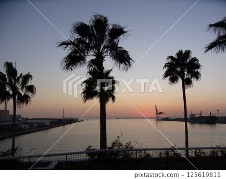 海 大海 海洋 125619811