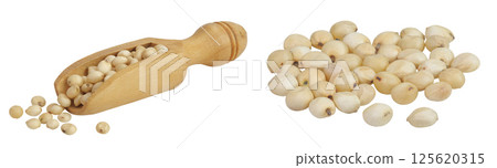 Sorghum seeds in wooden scoop isolated on white background with full depth of field. Sorghum seeds in wooden scoop isolated on white background with full depth of field. 125620315
