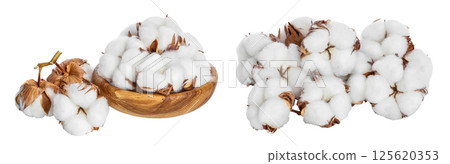 Cotton plant flower in wooden bowl isolated on white background with  full depth of field 125620353