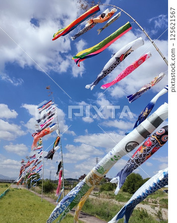 Carp streamer Carp streamer 125621567