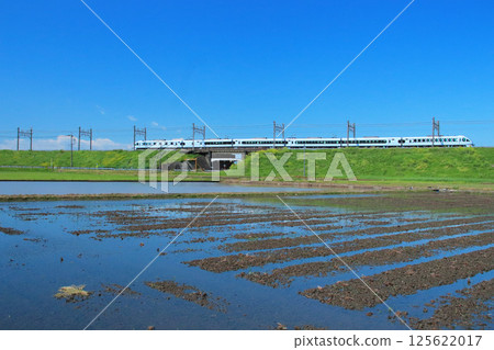 Rice planting season arrives 125622017