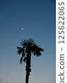 南方的夜空，棕櫚樹，新月和昏星 125622065