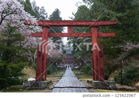 岩山神社 125622067