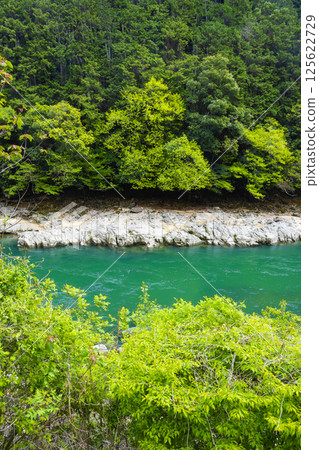 Seta River with fresh greenery 125622729
