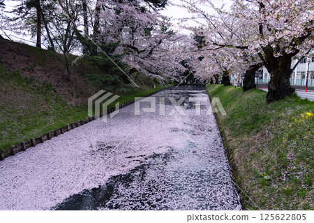 弘前公園的櫻花 125622805