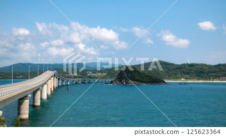 Overlooking Tsunoshima Bridge 125623364