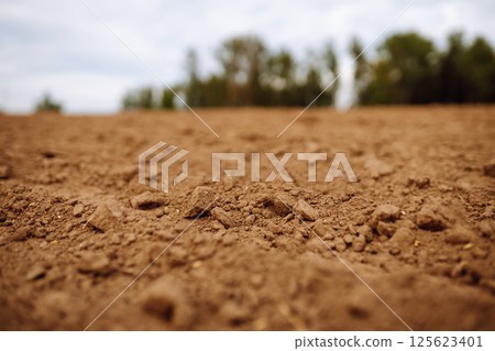Close-up of black soil. Agriculture, soil before sowing. Fertile land texture, rural field landscape Close-up of black soil. Agriculture, soil before sowing. Fertile land texture, rural field landscape 125623401