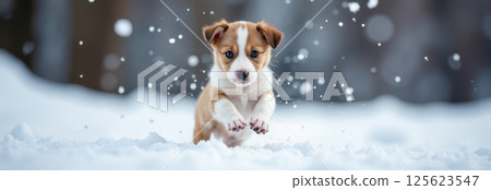 Adorable puppy running through snowy landscape in winter wonderland 125623547