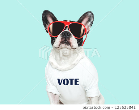US Elections. 2024 Presidential Election. Adorable puppy US Elections. 2024 Presidential Election. Adorable puppy 125623841