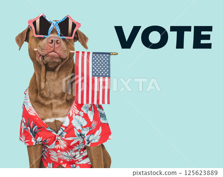 US Elections. 2024 Presidential Election. Adorable dog US Elections. 2024 Presidential Election. Adorable dog 125623889