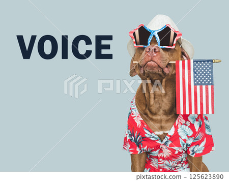 US Elections. 2024 Presidential Election. Adorable dog 125623890