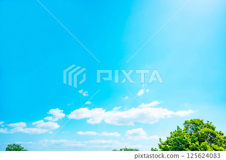 Blue sky, clouds and grove Blue sky, clouds and grove 125624083