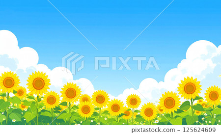 Blue sky and sunflower field 125624609