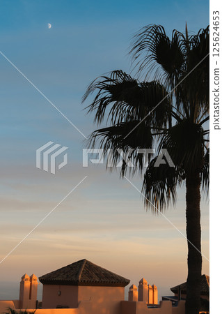 Palm tree and rooftops at dusk with moon in Costa del Sol Palm tree and rooftops at dusk with moon in Costa del Sol 125624653