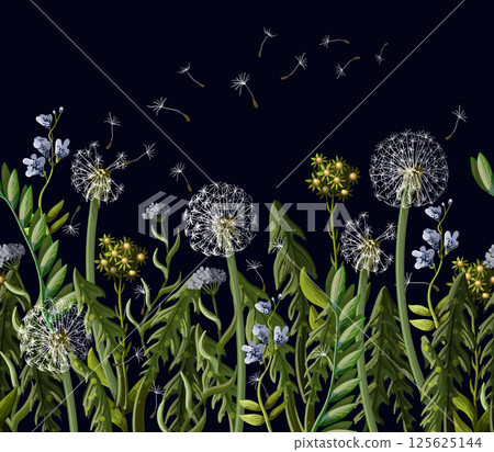 Seamless borser with dandelion and wild flowers.Seamless borser with dandelion and wild flowers. Seamless borser with dandelion and wild flowers.Seamless borser with dandelion and wild flowers. 125625144