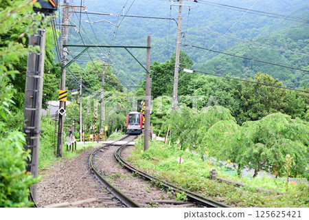 Odaidai - Fresh greenery - Hydrangea train Odaidai - Fresh greenery - Hydrangea train 125625421