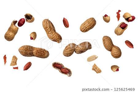 Peanuts with shell and peeled nut isolated Peanuts with shell and peeled nut isolated 125625469