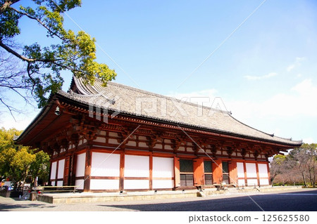 Kyoto Prefecture, Toji Temple Lecture Hall (Important Cultural Property), Kujo-cho, Minami-ku, Kyoto City, February 2022 125625580