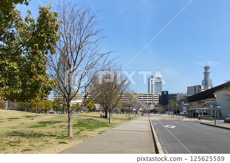 Oita prefecture road 125625589