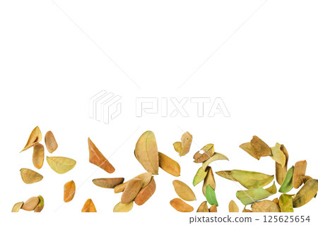 A cutout of a dried leaf with clipping paths, symbolizing change, the passage of time, and the beauty of decay. A cutout of a dried leaf with clipping paths, symbolizing change, the passage of time, and the beauty of decay. 125625654