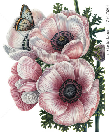 Yellow Cabbage White on Pink Anemone Flower 125625805