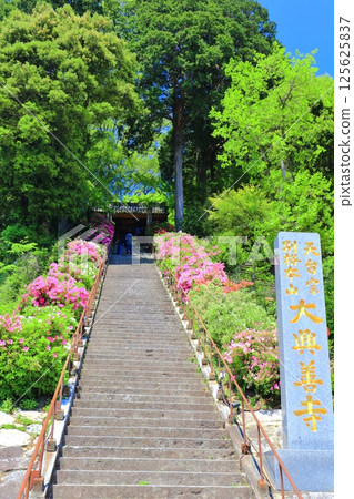 【佐賀縣】大光禪寺(希望坂)石階上的杜鵑花盛開 【佐賀縣】大光禪寺(希望坂)石階上的杜鵑花盛開 125625837