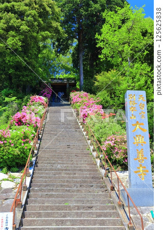 【佐賀縣】大光禪寺(希望坂)石階上的杜鵑花盛開 【佐賀縣】大光禪寺(希望坂)石階上的杜鵑花盛開 125625838