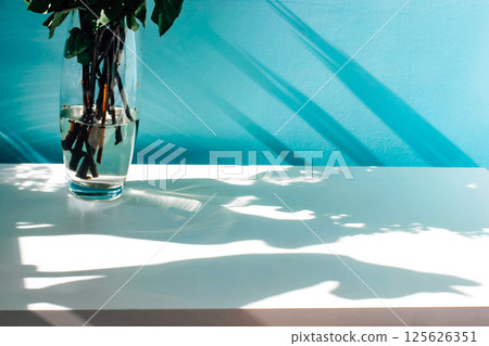 A glass vase of flowers stands on a table near the blue wall leaving shadows on a deck. Two cats shadows silhouette. Natural light in spring day. A glass vase of flowers stands on a table near the blue wall leaving shadows on a deck. Two cats shadows silhouette. Natural light in spring day. 125626351