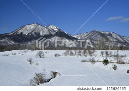 斯諾伊山高原多雪的風景 125626365