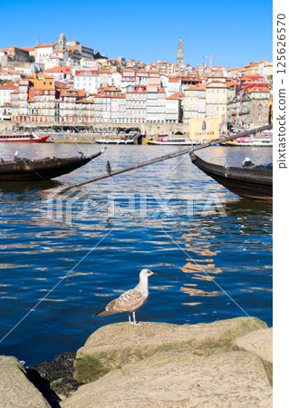 historic town of Porto, Portugal historic town of Porto, Portugal 125626570
