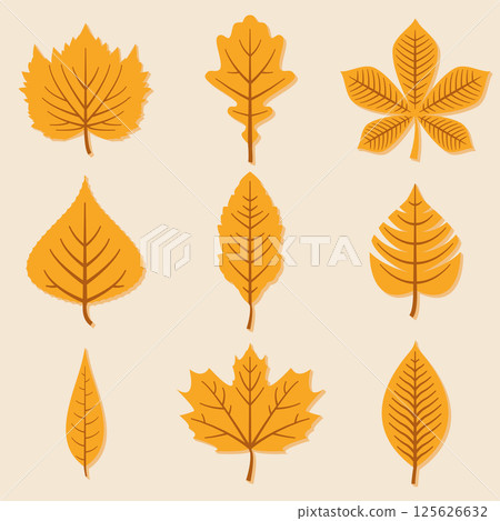 Set of autumn leaves on white background. 125626632