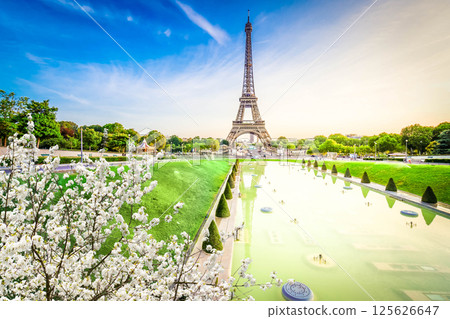 eiffel tour and from Trocadero, Paris 125626647