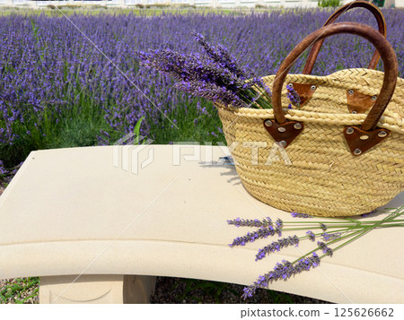 A Charming Basket Overflowing with Fresh Lavender Placed Gently Against a Beautifully Scenic Floral Pathway A Charming Basket Overflowing with Fresh Lavender Placed Gently Against a Beautifully Scenic Floral Pathway 125626662