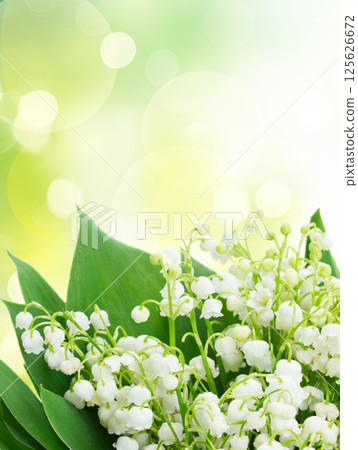 Lilly of valley 125626672