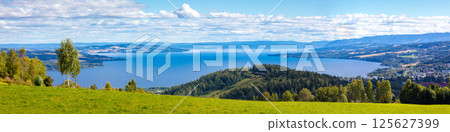 Panoramic view of a beautiful lake Mjosa and Gjovik city in summer. Norway 125627399