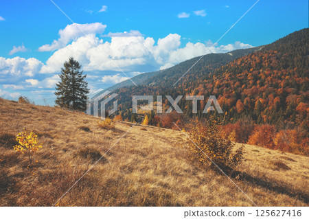 Autumn in the mountains. View of the mountains in autumn. Beautiful nature landscape. Carpathian mountains. Synevyr Pass, Zakarpattia Oblast, Ukraine 125627416