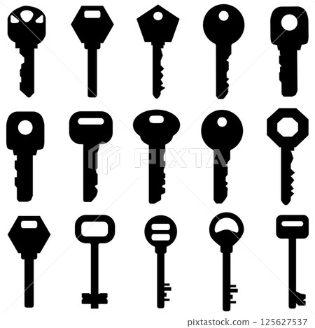Key vector icon set on isolated background. 125627537