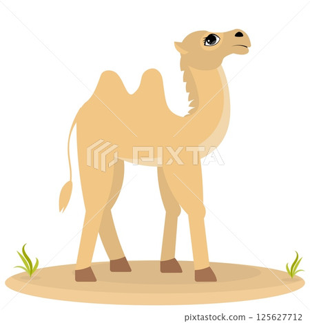 Cute zoo. Vector animals. A proud camel walks on the sand. Vector collection of animals. Isolated Cute zoo. Vector animals. A proud camel walks on the sand. Vector collection of animals. Isolated 125627712
