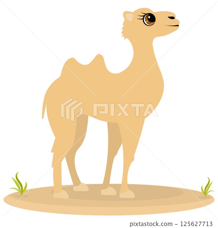 Cute zoo. Vector animals. The camel is standing. Vector collection of animals. Isolated 125627713