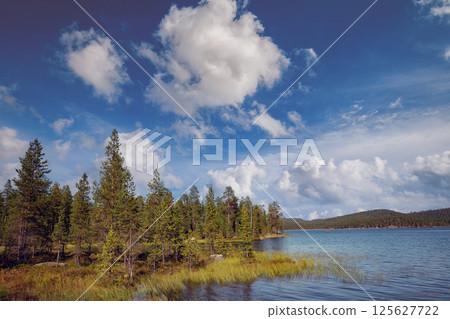 Lakeshore with trees and blue sky in summer. Inari lake. Beautiful nature of Finland. Europe Lakeshore with trees and blue sky in summer. Inari lake. Beautiful nature of Finland. Europe 125627722