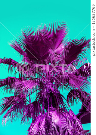 Purple palm leaves on a turquoise background. Tropical nature background 125627769
