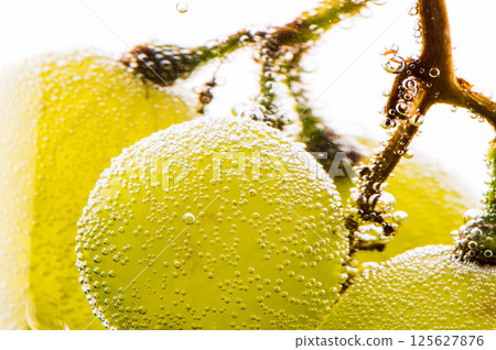 A bunch of grapes in the water looks fresh and tempting. The juicy grapes are covered with numerous tiny bubbles that add a special texture to the image.  A bunch of grapes in the water looks fresh and tempting. The juicy grapes are covered with numerous tiny bubbles that add a special texture to the image.  125627876