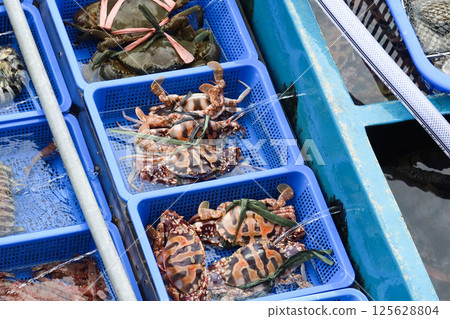 seafood market selling on the boat in Sai Kung, Hong Kong with different kinds of crabs and prawns in blue plastic tray on the boat seafood market selling on the boat in Sai Kung, Hong Kong with different kinds of crabs and prawns in blue plastic tray on the boat 125628804