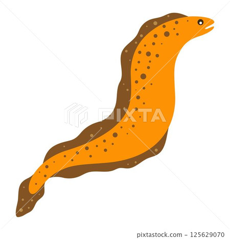 moray eel isolated moray eel isolated 125629070