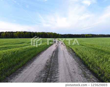 rural road in the middle of a green meadow. Beautiful green meadow, surrounded by a spring forest. Bright, lush, green natural landscape. 125629803