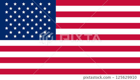 United States of America flag. Vector illustration 125629910