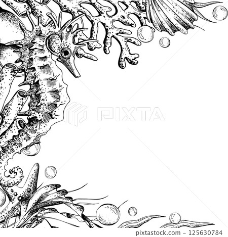 Seahorse, jellyfish, seashell, coral, starfish, sea sponge, algae, pebbles and bubbles. Hand drawn graphic illustration in black and white color line-art. Frame template for text on marine theme Seahorse, jellyfish, seashell, coral, starfish, sea sponge, algae, pebbles and bubbles. Hand drawn graphic illustration in black and white color line-art. Frame template for text on marine theme 125630784